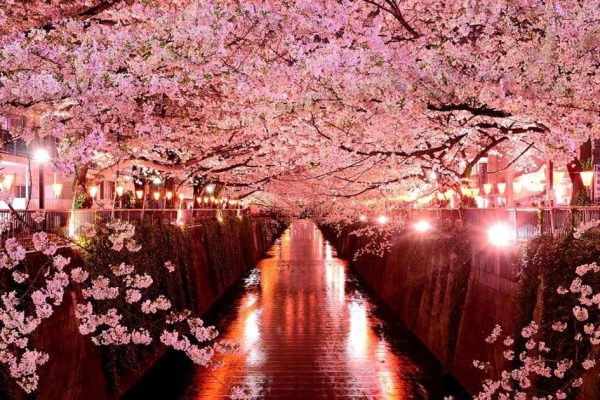 tokyo 5