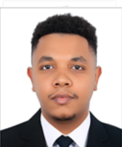 Ahmed Sifeeldein Ahmed Idris