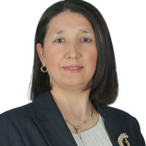 Senay Karadag Arli
