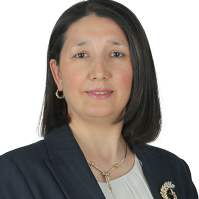 Senay Karadag Arli