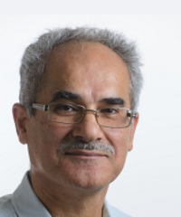 Mahmoud Huleihel