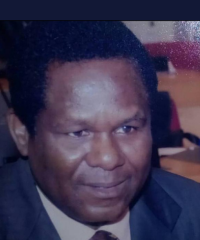 Festus M. Adebiyi
