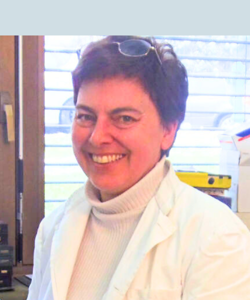 Mariastefania Antica